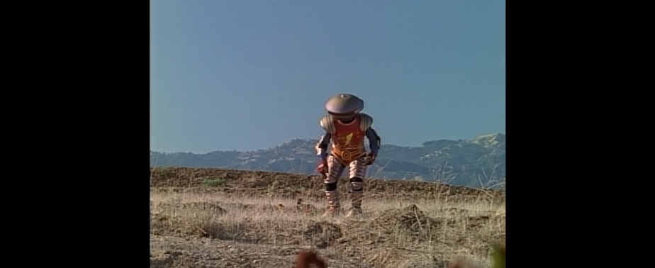 Alpha planting flowers, for some reason