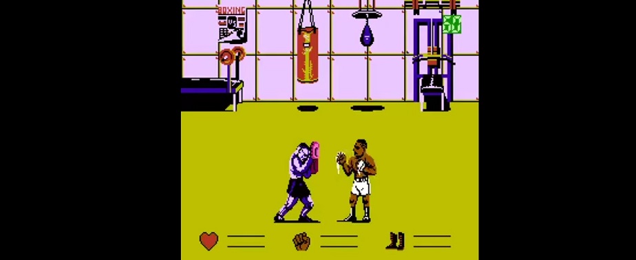 How to train your pet boxer